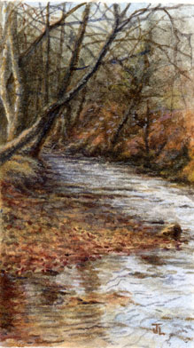 Dockens Water