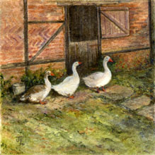 Goose Patrol