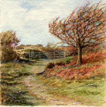 On Wroxall Down, Isle of Wight