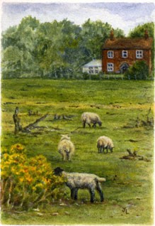 Penn Common