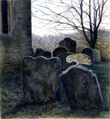 The Nightwatch